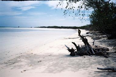 Die Strände auf Cayo Coco,_UW 06_000_B720